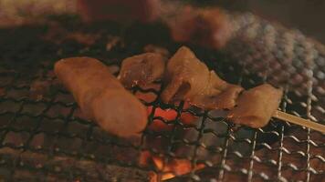 festa para churrasco japonês estilo, yakiniku. carnes estão ser cozinhou em fogão dentro uma japonês video