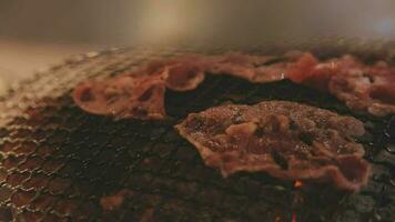 Party for barbecue japanese style, yakiniku. Meats are being cooked on stove in a japanese video