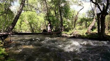 un hermosa niña es caminando a lo largo un puente debajo su corriendo río video