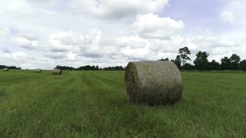 Big hay bale rolls on a green field with blue sky and clouds on the background. Shot. Rural landscape with mowed grass in rolls surrounded by green trees. photo