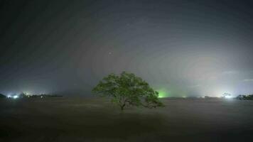 een Melkweg ster Bij nabij lucht met bewolkt Aan berg visie gelegen Bij Thailand video