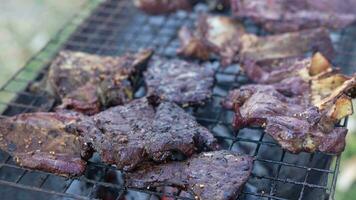 Grilled meat at a party celebrating New Year's Day 2024 video