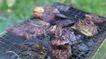 A la parrilla carne a un fiesta celebrando nuevo años día 2024 video