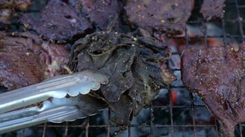 Grilled meat at a party celebrating New Year's Day 2024 video