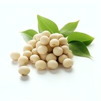 AI generated soy beans real photo photorealistic stock photography