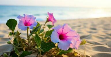 ai generado flores en playa foto