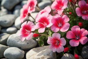 AI generated Flowers on Rocks photo