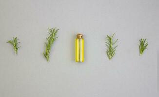 Olive oil and sprigs of rosemary on a gray background photo