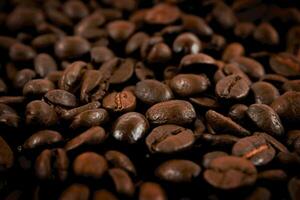 Coffee background. Roasted coffee beans close up. photo