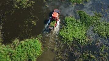 un grande excavador en un muy grande acero Embarcacion y un tractor son trabajando en el canal recogiendo arriba vegetales y malas hierbas. video