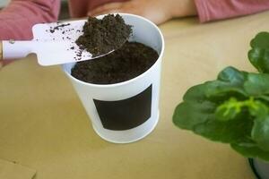 Little girl pours soil into a pot, close up. photo