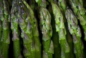 Food bright wallpaper. green asparagus, close up. photo