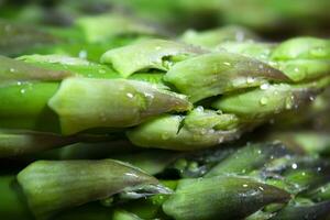 Fresh green asparagus with water drops, macro photography photo