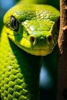 AI generated Light green snake close up photo