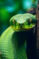 ai generado verde serpiente cerca arriba en el bosque foto