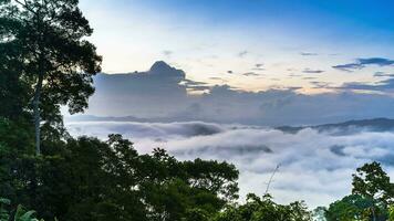 cloudy foggy landscape view above of mountain video