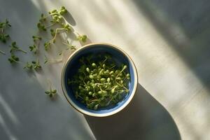 AI generated Sunlight streaming through window onto plate of sprouting green beans photo