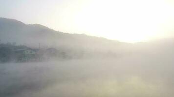 un' nebbioso su acqua a mattina tempo collocato a nord di Tailandia video