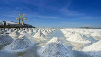 salt farm under clear sky at sunny day video