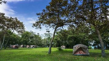 acampamento tendas em verde Relva fileld video