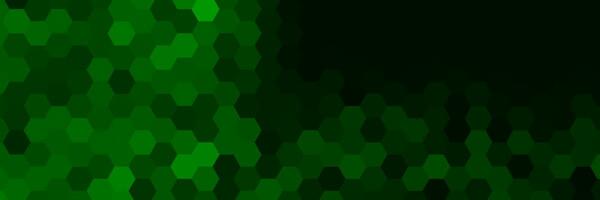 green elegant hexagon abstract background vector