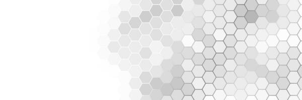 grey and white elegant abstract background vector