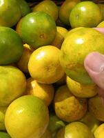 Fresco y delicioso naranjas en el azul Cubeta foto