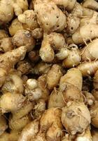 Food ingredients. Turmeric root. Indonesian spice photo