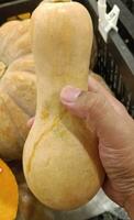 tropical pumpkins at an outdoor farmer's market. pumpkin patch. pumpkins from southeast Asia. photo