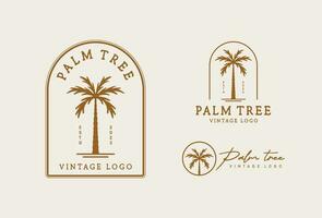 Palm tree vintage logo design template vector