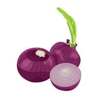 Whole and half red onions isolated on white background. Vector cartoon illustration