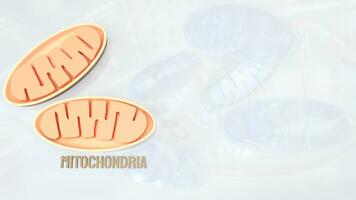 The Mitochondria for sci or health concept 3d rendering. photo