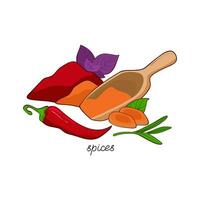 Spices on white background. Hand drawn vector illustration for culinary projects, menus, packaging. Tumeric, basil, pepper