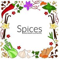 Frame with culinary ingredients. Hand drawn illustration of different spices on white background. Use to create menus, packaging, prints. vector