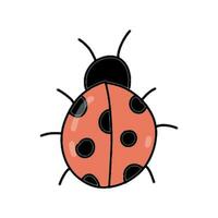 Hand drawn cartoon ladybug vector