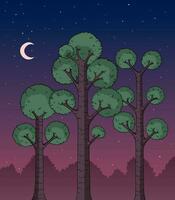 Forest at Night vector