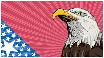 Bald Eagle Background vector