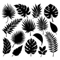 conjunto de tropical hojas en siluetas diferente hoja recopilación. selva bosque flora. palmera, monstruo, plátano árbol aislado en blanco antecedentes. vector ilustración.