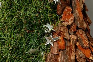 Christmas composition of flowers and Christmas decorations photo