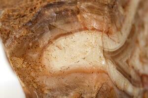 Macro mineral stone Agate Brown on white background photo