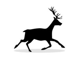 silhouette of deer isolated on white background. Vector illustration