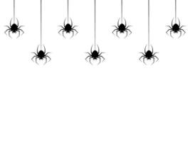 hanging spiders for decoration and covering on the transparent background. for Halloween vector