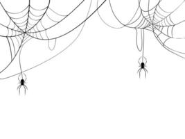 Black spider and spider web. Scary spiderweb of halloween symbol. Isolated on white background. vector illustration