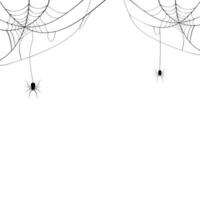 Black spider and spider web. Scary spiderweb of halloween symbol. Isolated on white background. vector illustration