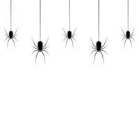 hanging spiders for decoration on the transparent background. Creepy background for Halloween vector