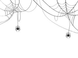 Black spider and spider web. Scary spiderweb of halloween symbol. Isolated on white background. vector illustration