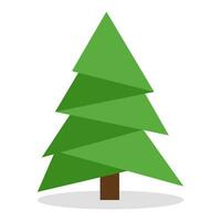 pino o Navidad árbol vector