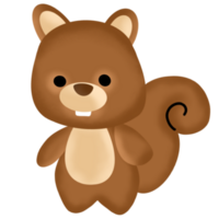 cute squirrel illustration png