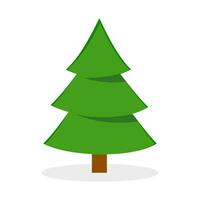 Pine or Christmas tree vector