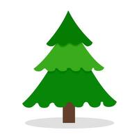 Pine or Christmas tree vector